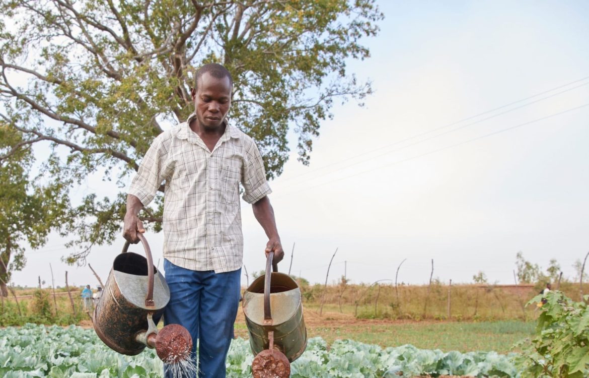 Farmer waters his plants