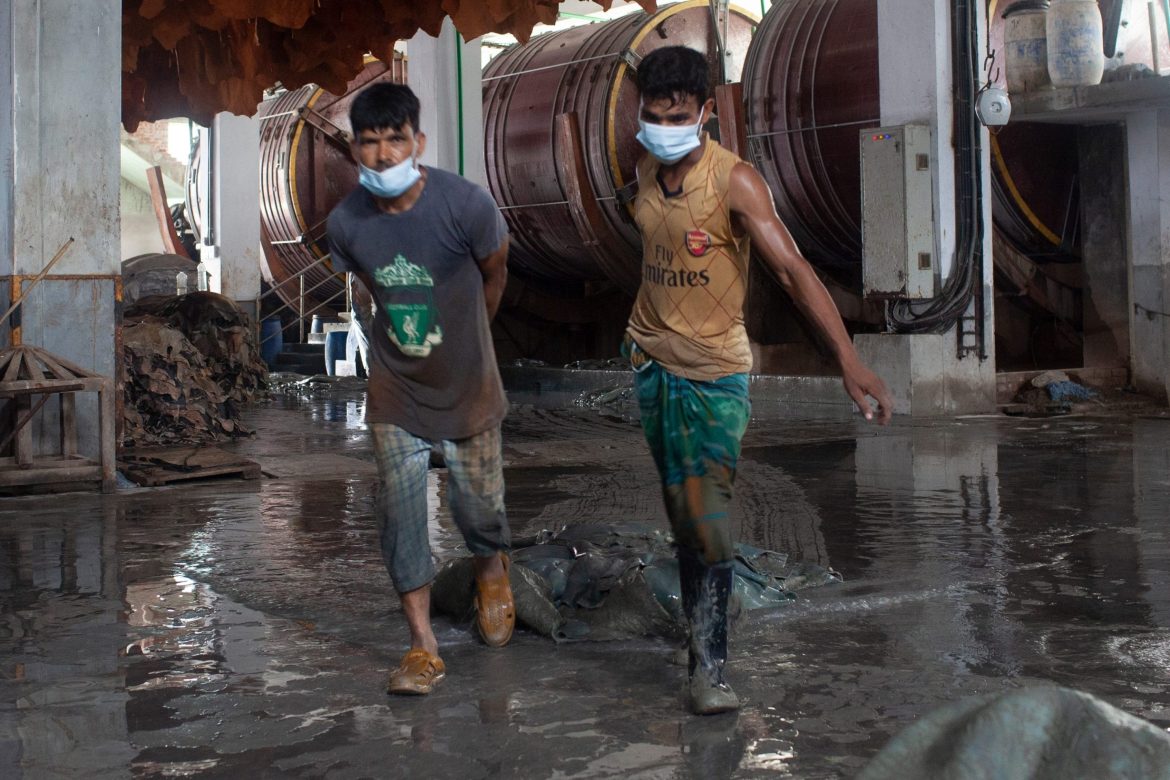 Promotion of Decent Work at Leather Supply Chain Zwei Arbeiter mit Tierhäuten in einer Fabrikhalle in Bangladesch