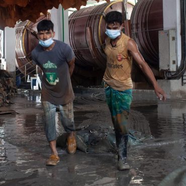 Zwei Arbeiter mit Tierhäuten in einer Fabrikhalle in Bangladesch