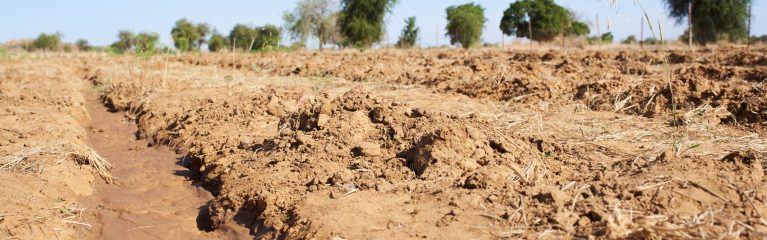 Burkina-Klima-Andreas Schwaiger Dry soils in Burkina Faso