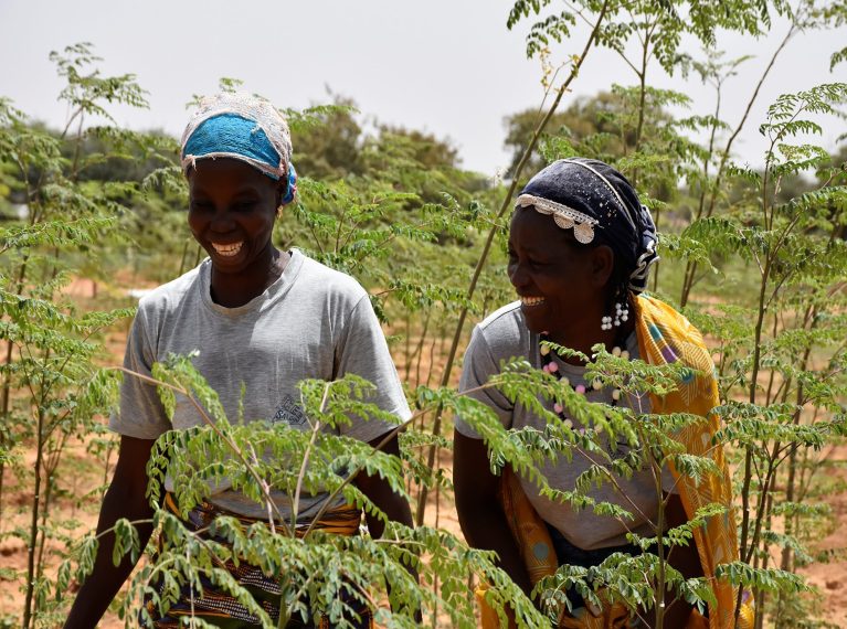 Burkina-Nachhaltigkeit-Moringa_Solidar Two women walk smiling across a green field.