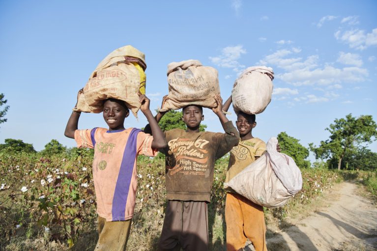 Kinder transportieren die Baumwolle in Säcken auf ihrem Kopf