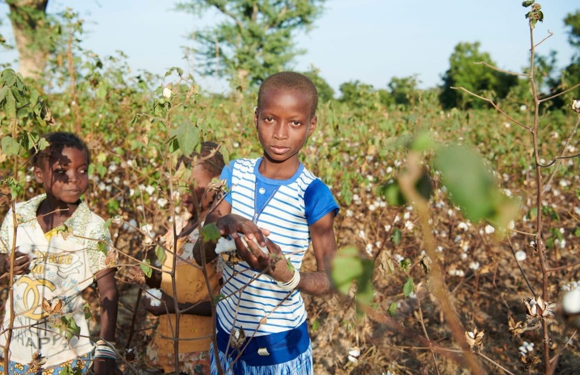 Child in a cotton field in Burkina Faso